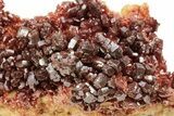 Dark Red Vanadinite Crystals on Barite - Morocco #223665-1